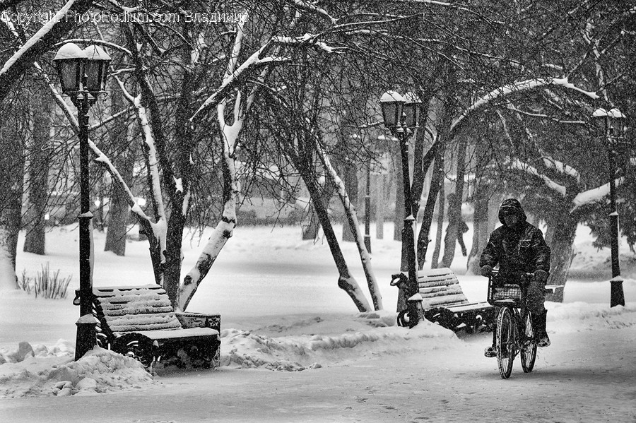 Nature, Person, Human, Outdoors, Vehicle