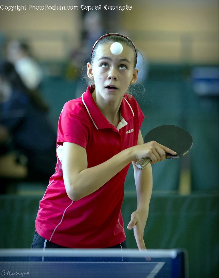 Human, Person, Sport, Ping Pong, Sports