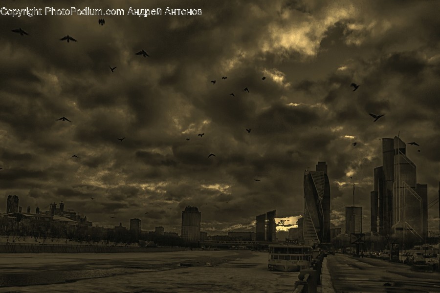 Nature, Weather, Outdoors, Animal, Bird