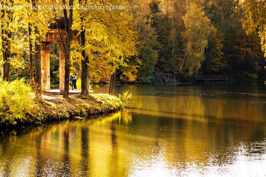 Human, Person, Water, Tree, Plant