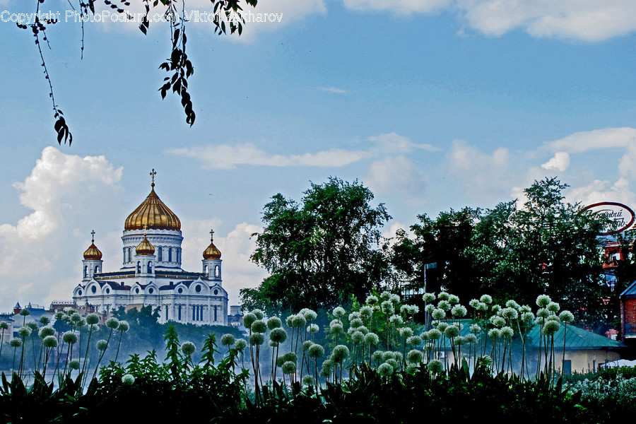 Building, Architecture, Dome, Tower, Spire