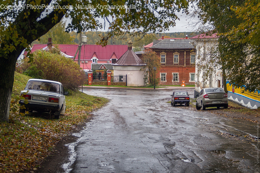 Automobile, Vehicle, Car, Transportation, Asphalt