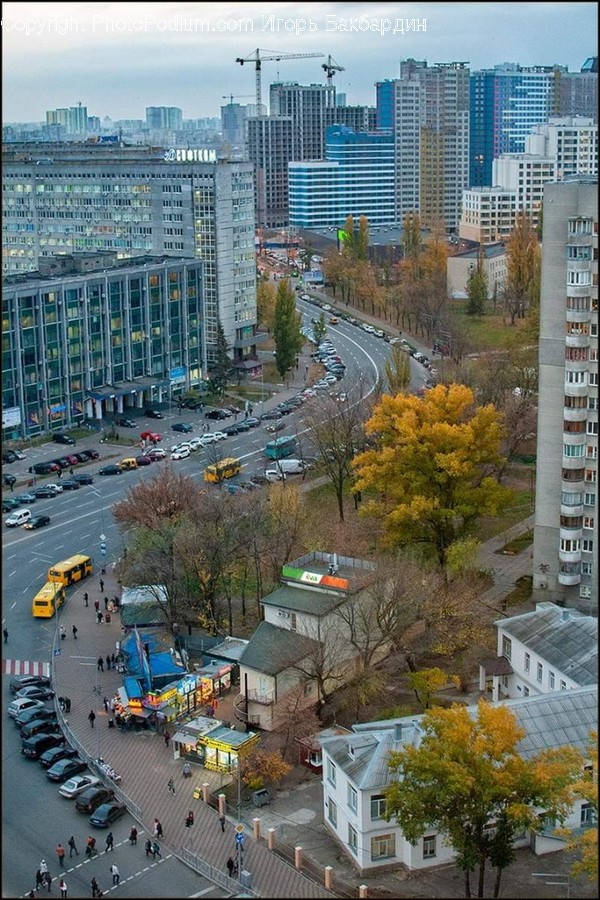 Road, Intersection, Town, Metropolis, City