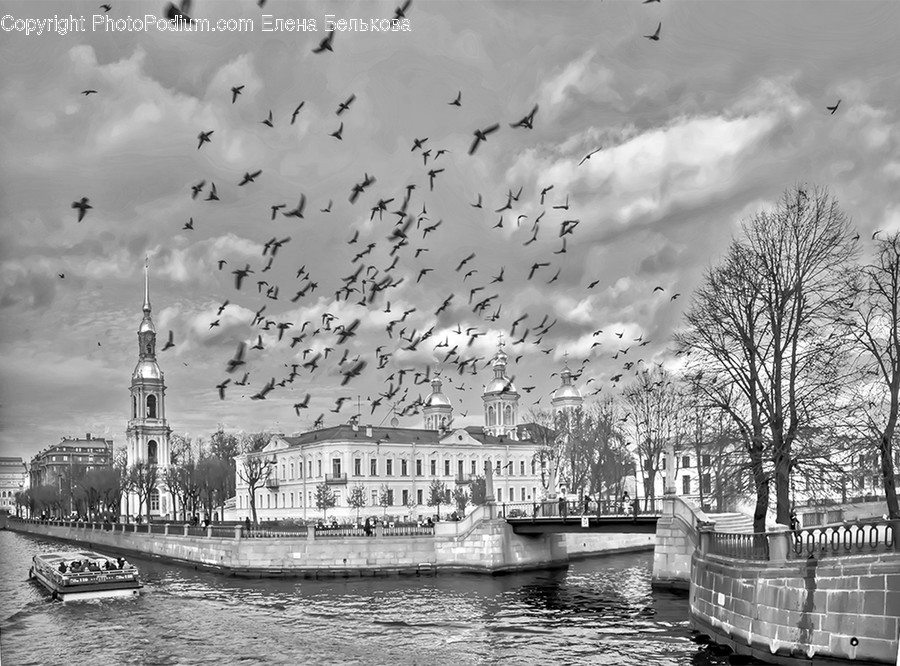 Flock, Animal, Transportation, Boat, Vehicle
