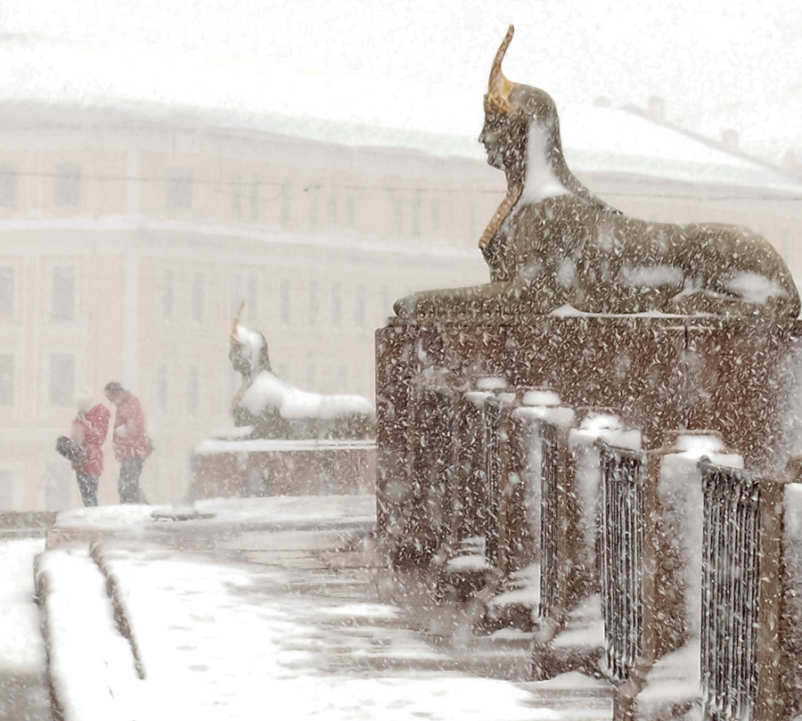 Nature, Blizzard, Winter, Snow, Storm