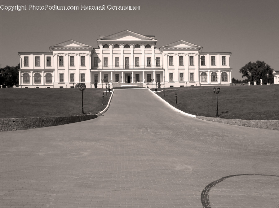 Tarmac, Asphalt, Road, Campus, Person