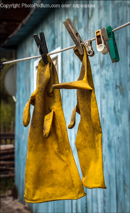 Animal, Sea Life, Clothing, Apparel