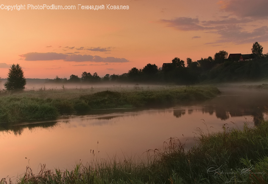 Nature, Land, Outdoors, Water, Swamp