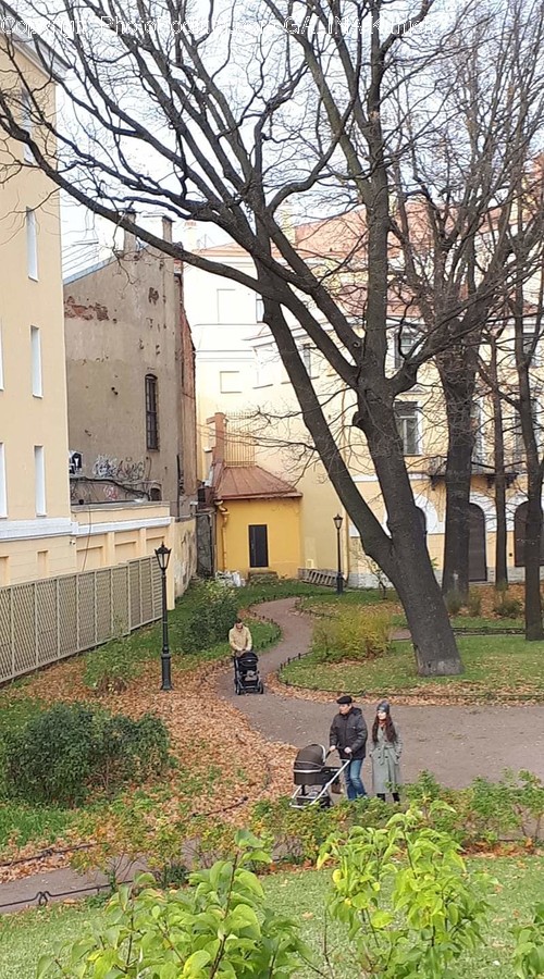 Human, Person, Tree, Plant, Path