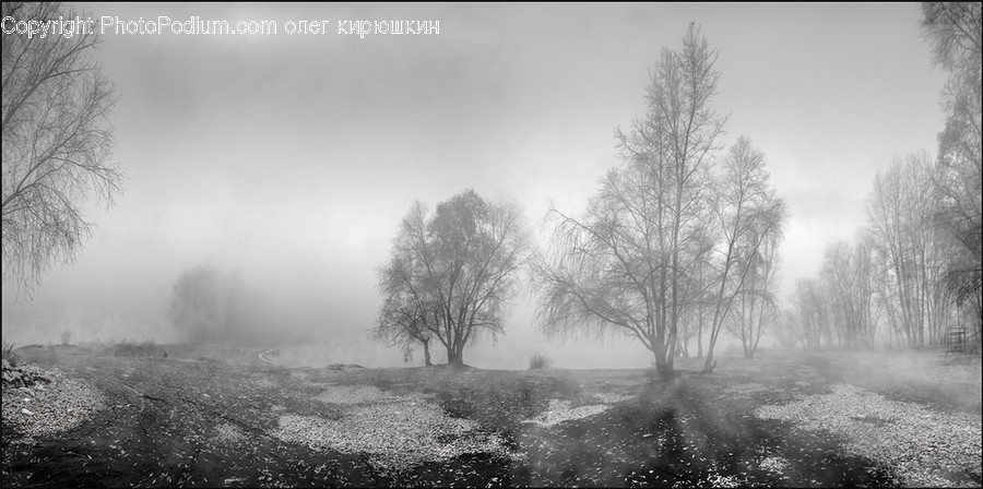 Nature, Weather, Outdoors, Fog, Mist