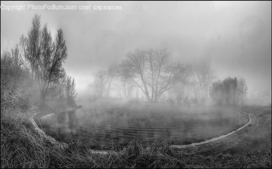Nature, Weather, Outdoors, Fog, Mist