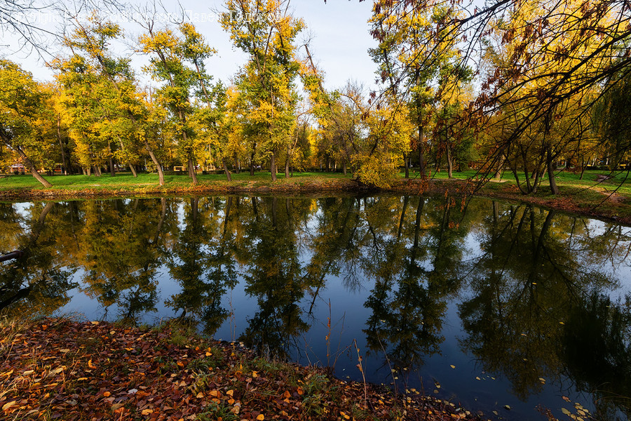 Water, Nature, Land, Outdoors, Pond