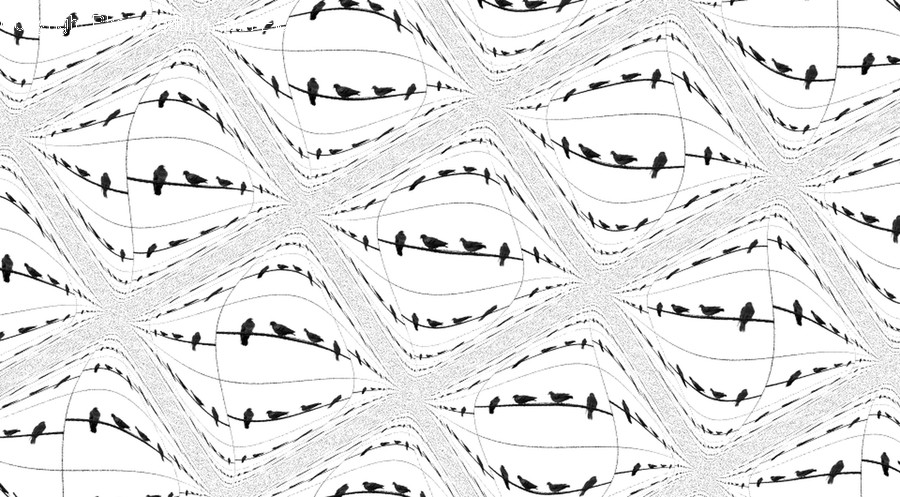 Text, Pattern, Bird, Animal, Art