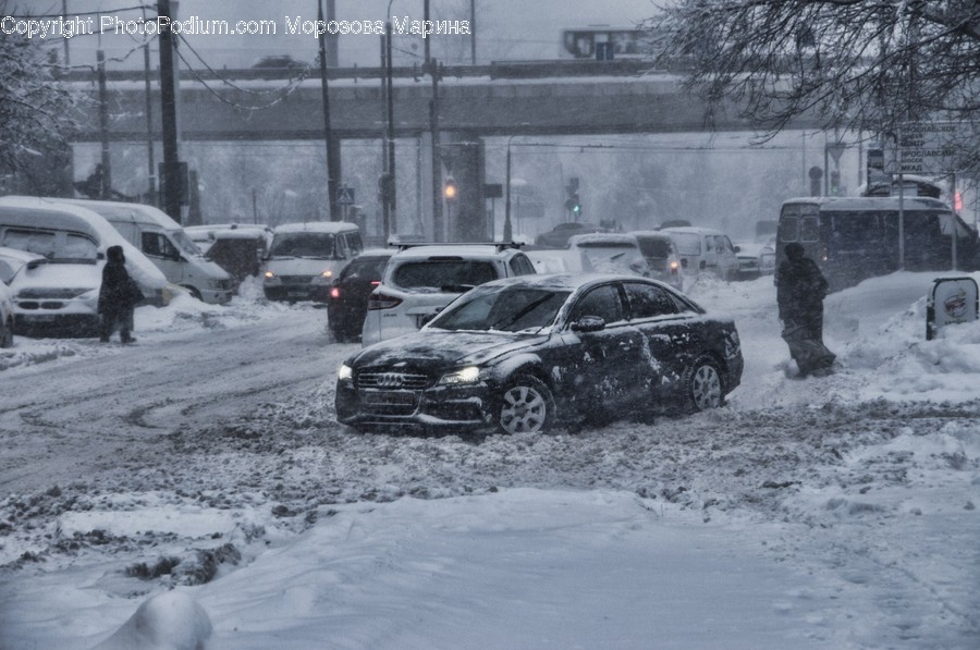 Nature, Storm, Blizzard, Winter, Snow