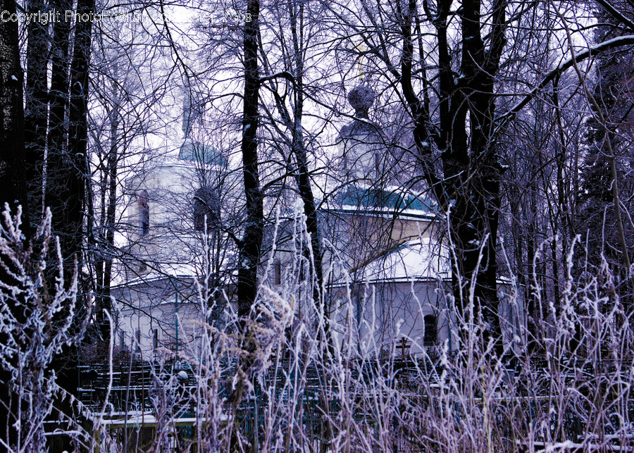Nature, Outdoors, Ice, Snow, Frost