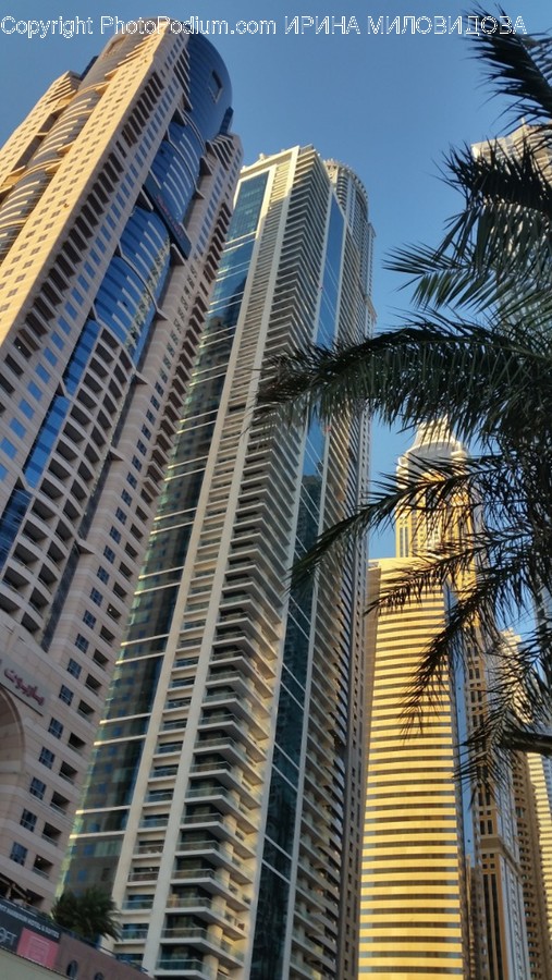 Town, Urban, High Rise, City, Building