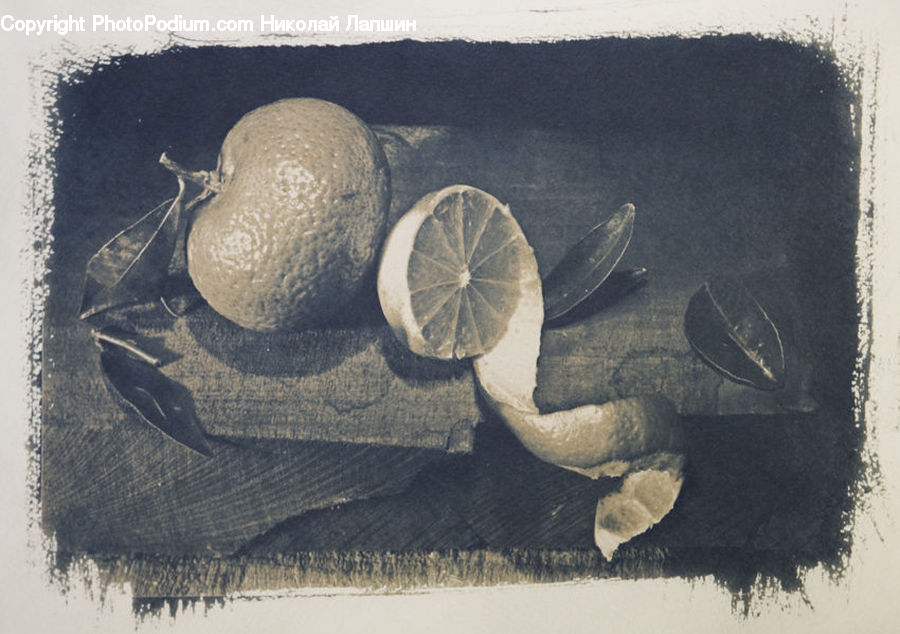 Citrus Fruit, Fruit, Grapefruit, Art, Drawing, Cushion, Home Decor