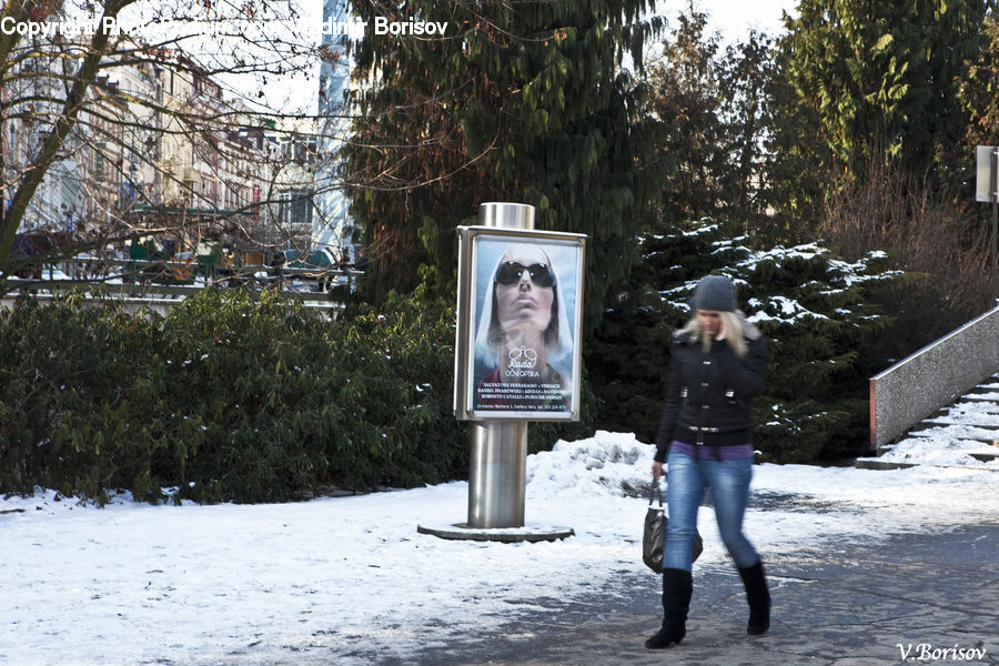 Human, People, Person, Head, Portrait, Flyer, Poster