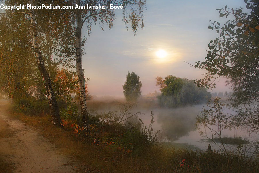 Fog, Mist, Outdoors, Dawn, Dusk, Sky, Sunrise