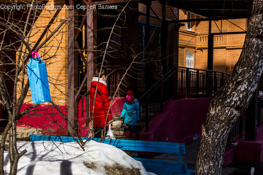 Person, Human, Nature, Outdoors, Banister