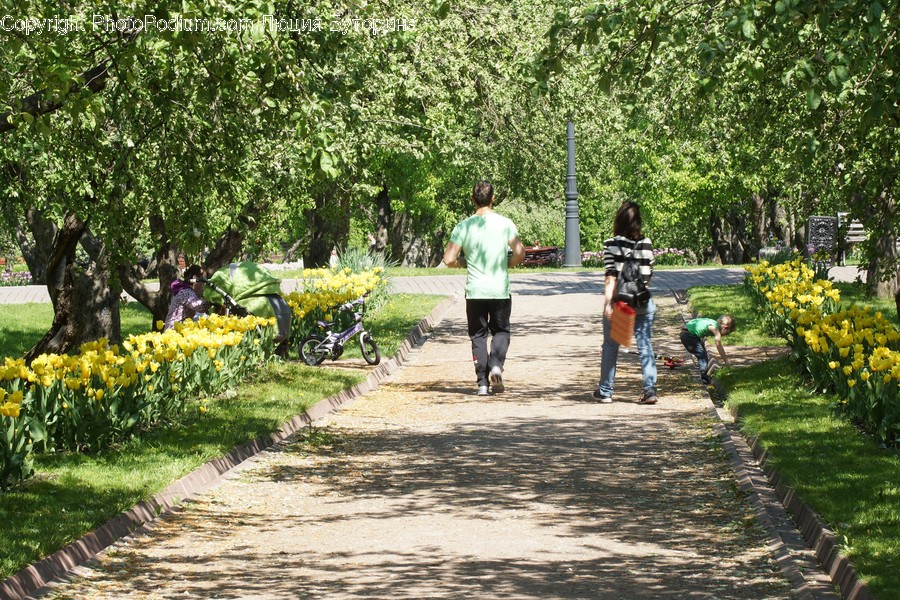 Person, Human, Outdoors, Garden, Arbour