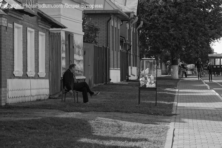 Path, Person, Human, Sidewalk, Pavement