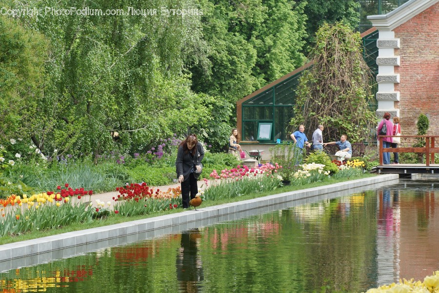 Outdoors, Human, Person, Water, Plant