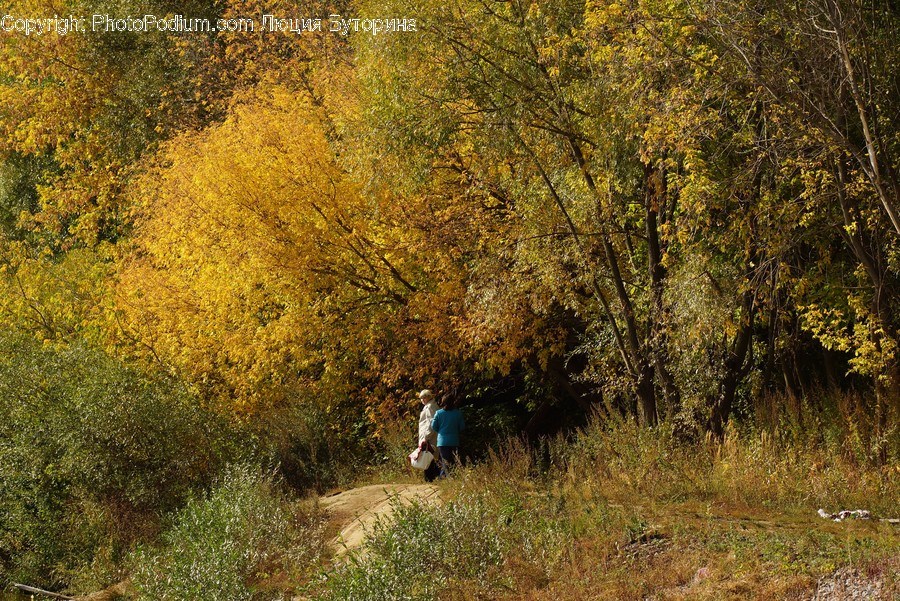 Ground, Dirt Road, Road, Gravel, Human