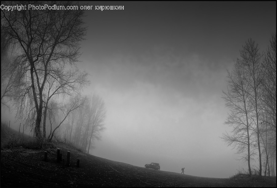 Nature, Weather, Outdoors, Fog, Mist