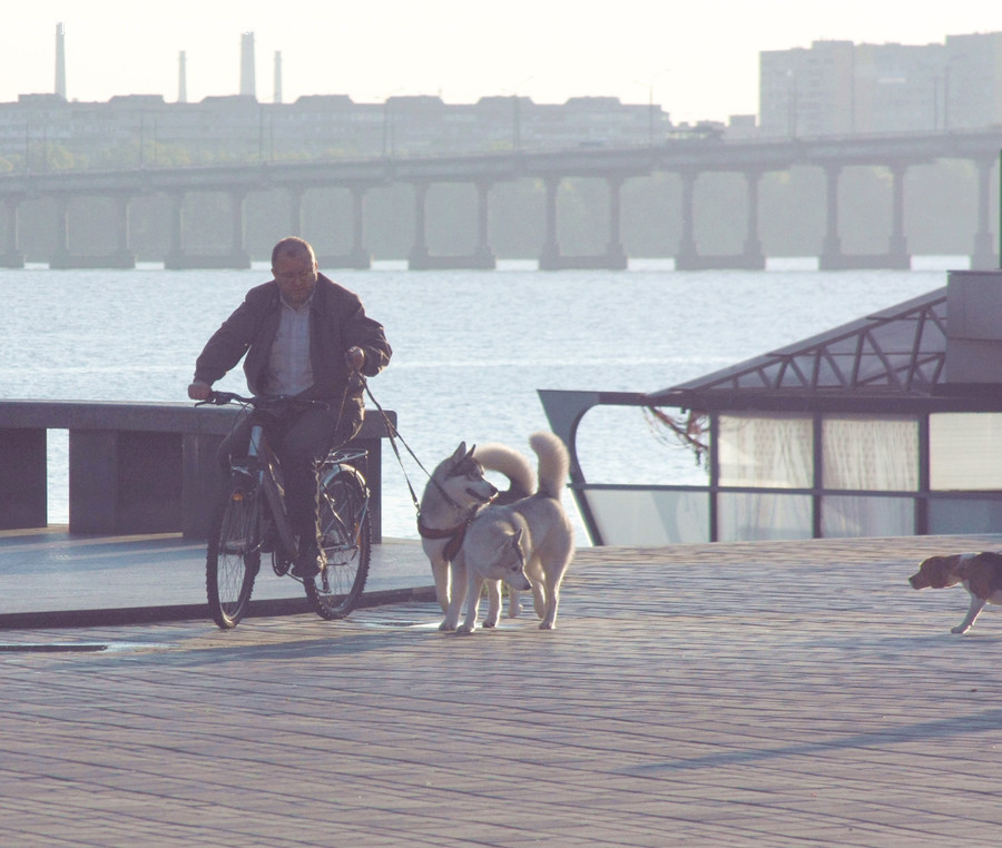 Transportation, Vehicle, Bike, Bicycle, Human