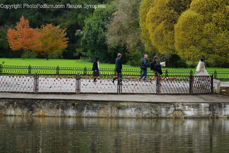 Human, Person, Outdoors, Water, Grass
