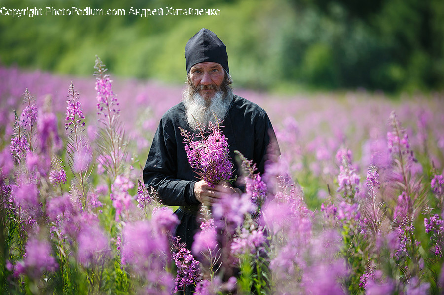 Face, Person, Human, Plant, Purple