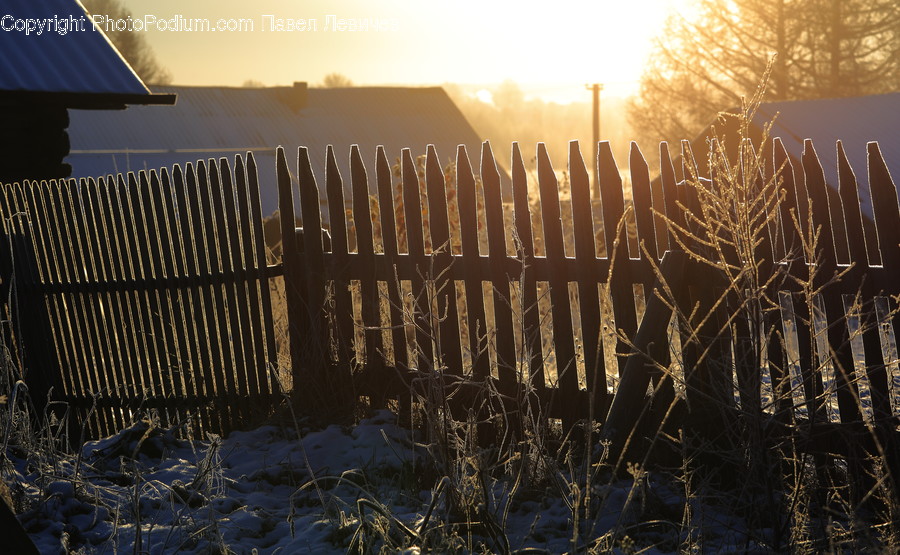 Flare, Light, Fence, Picket, Sunlight