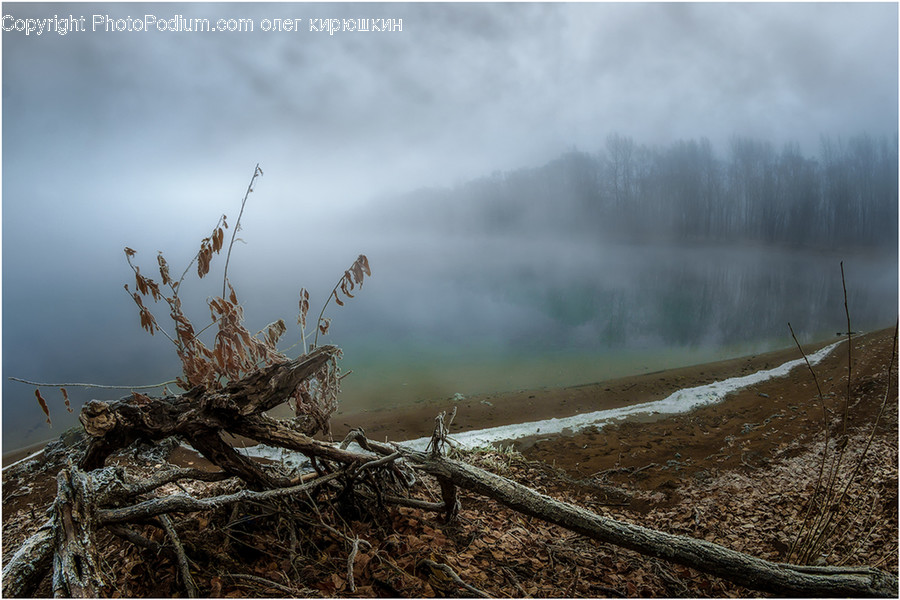 Wood, Nature, Fog, Weather, Outdoors