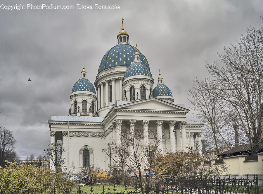 Dome, Architecture, Building, Mosque, Animal