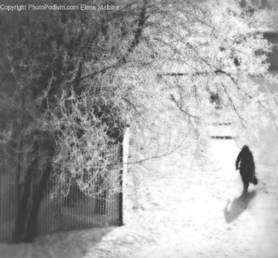 Nature, Outdoors, Snow, Storm, Blizzard