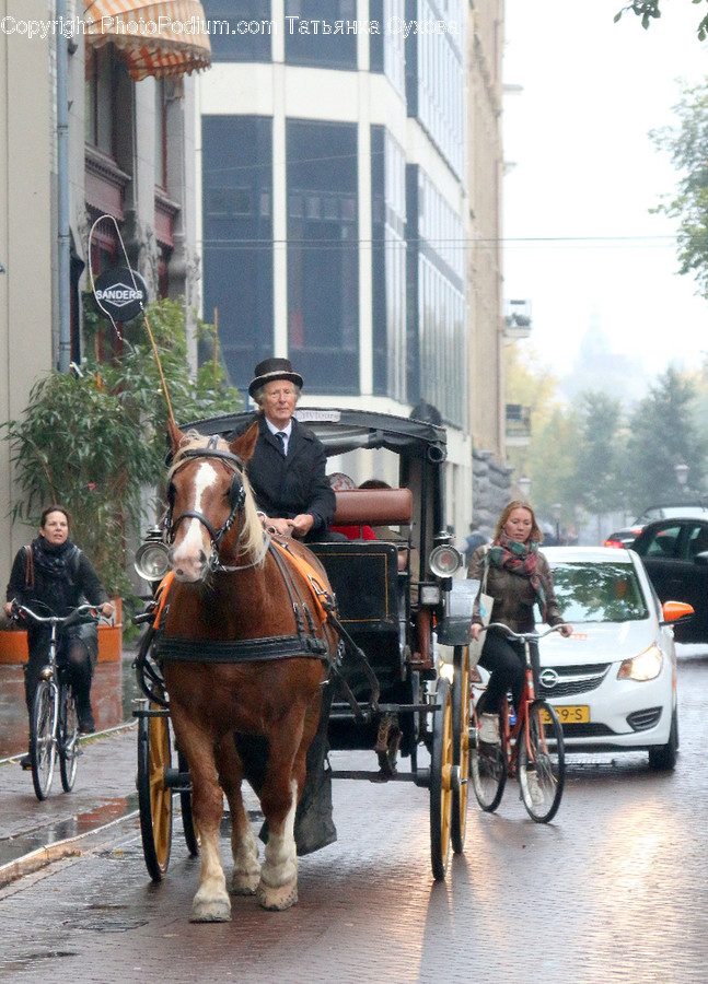 Human, Person, Transportation, Vehicle, Bike