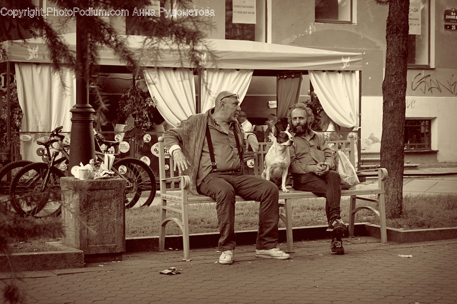 Furniture, Person, Human, Clothing, Shoe