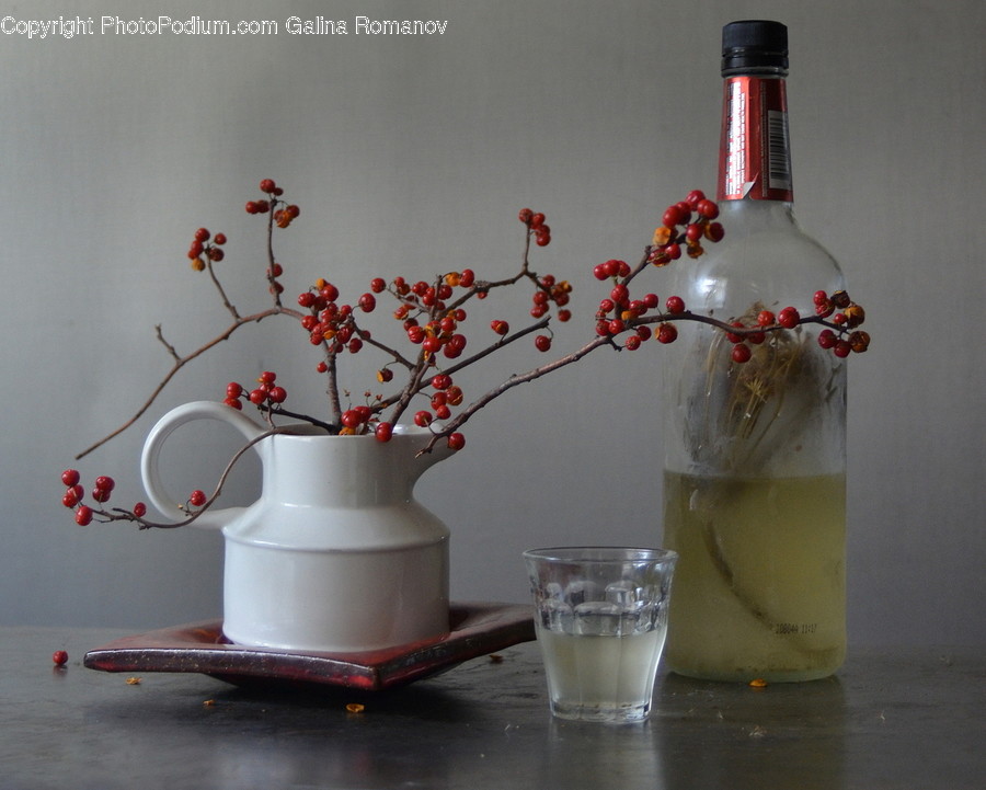 Plant, Jar, Art, Flower, Vase