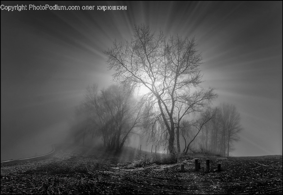 Nature, Weather, Outdoors, Fog, Mist