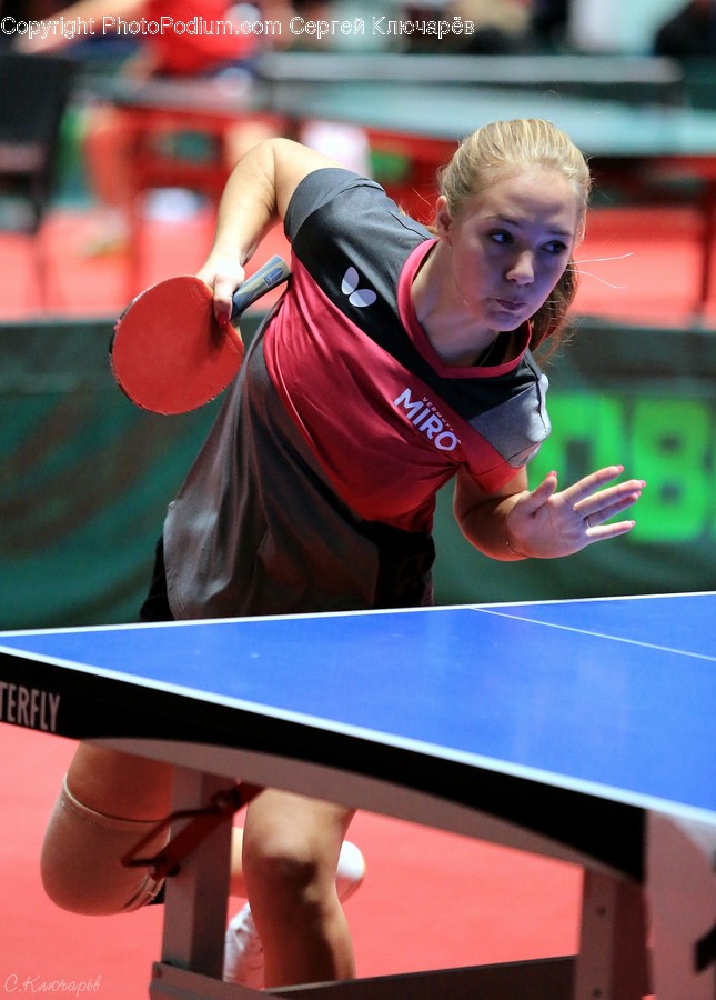 Sports, Ping Pong, Human, Sport, Person