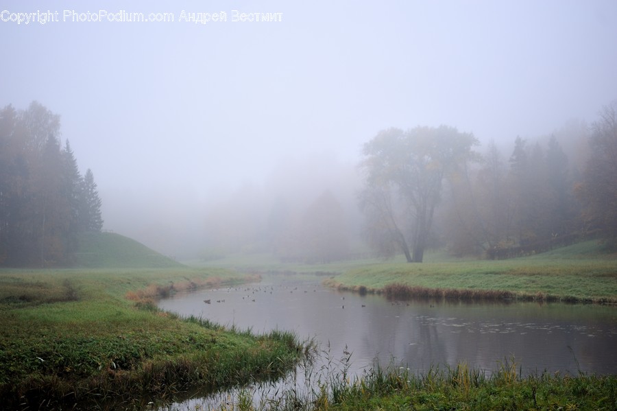 Nature, Weather, Outdoors, Fog, Mist