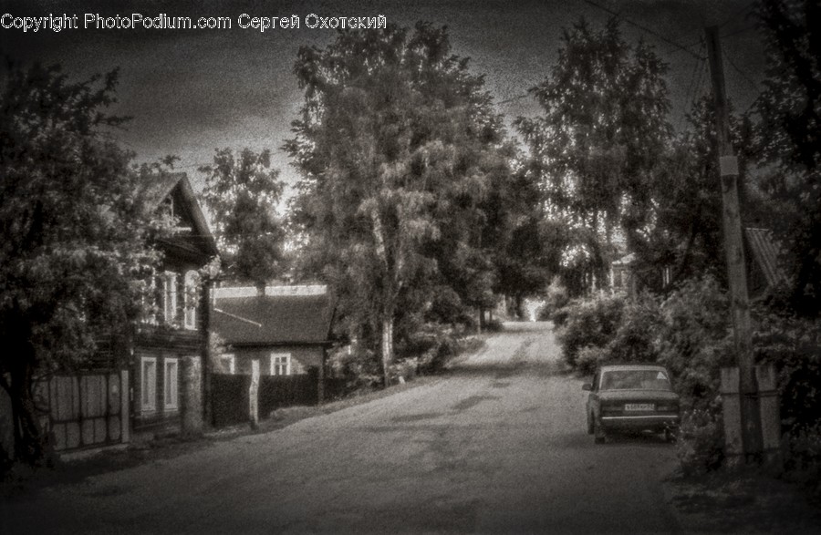 Vehicle, Car, Transportation, Automobile, Nature