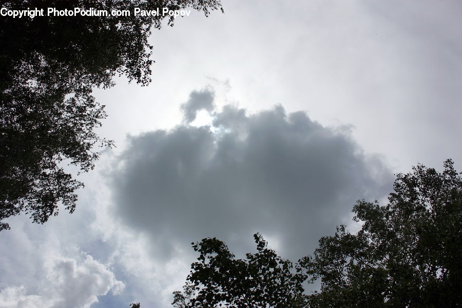 Cloud, Cumulus, Sky, Azure Sky, Outdoors, Flare, Light