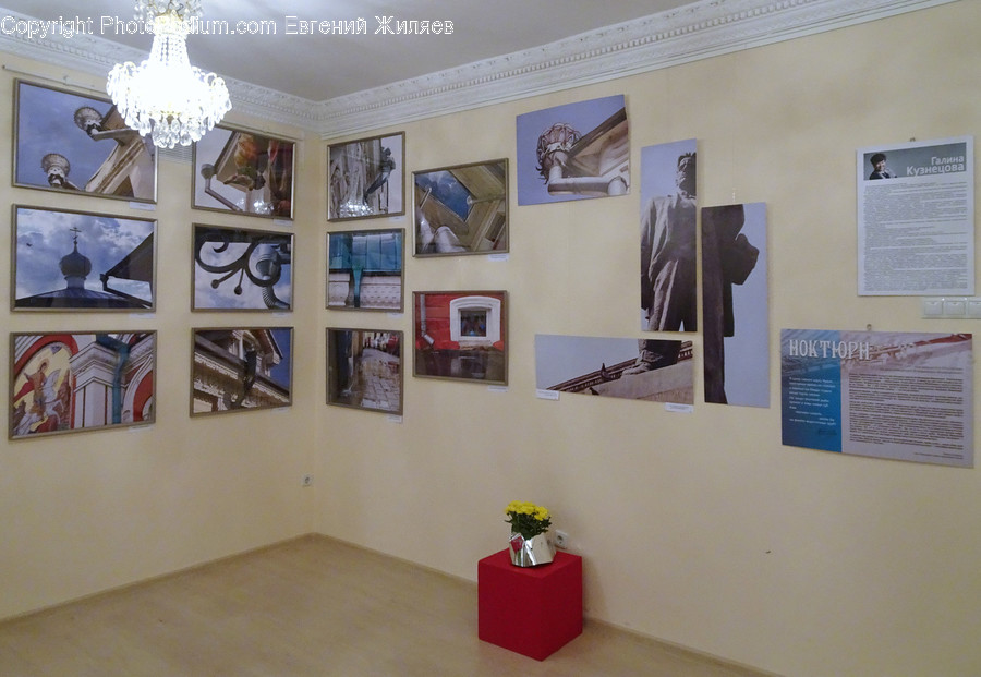 Art, Art Gallery, Human, Person, Floor