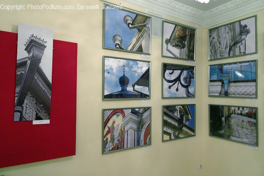 Art, Art Gallery, Bird, Animal, Modern Art