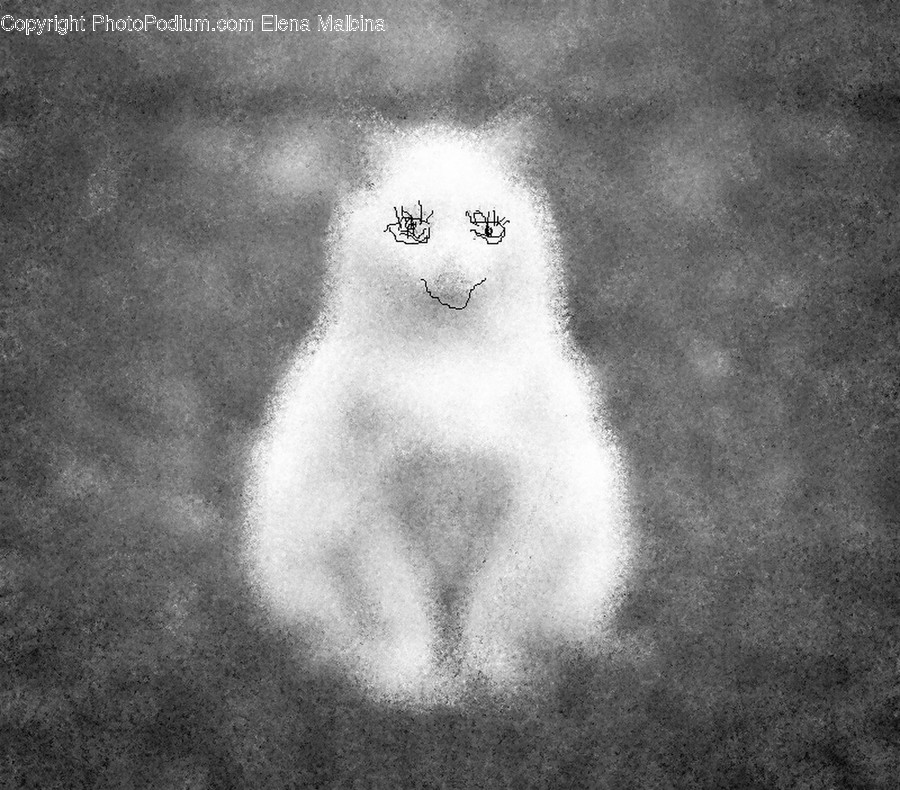 Mammal, Animal, Angora, Pet, Cat