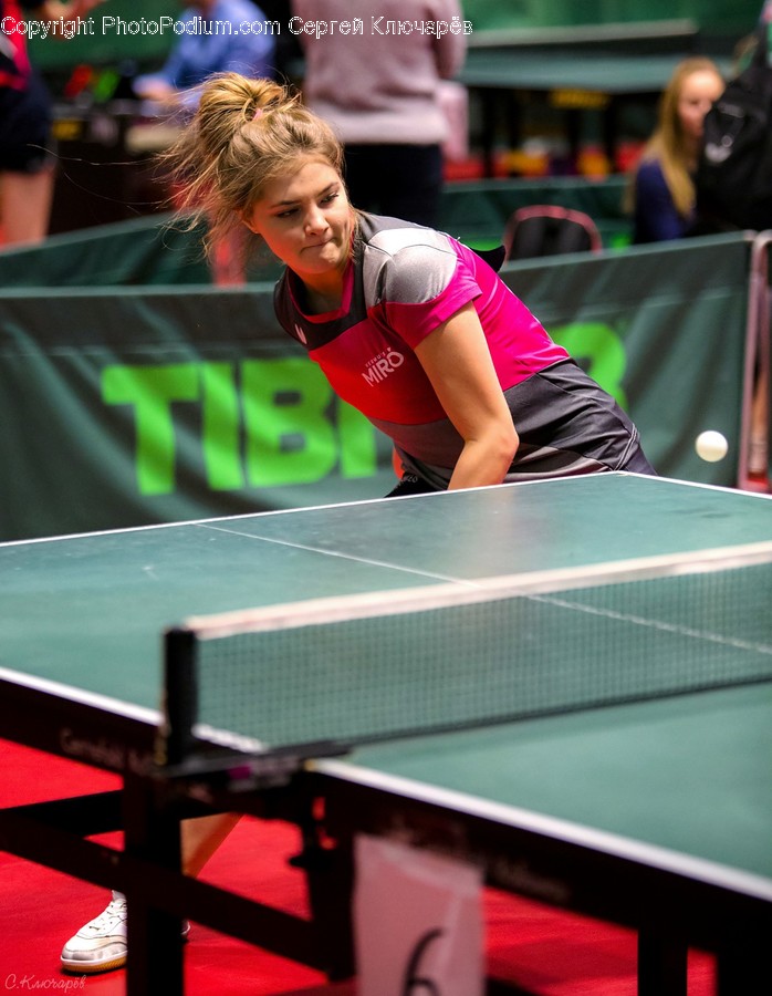 Human, Person, Sports, Ping Pong, Sport