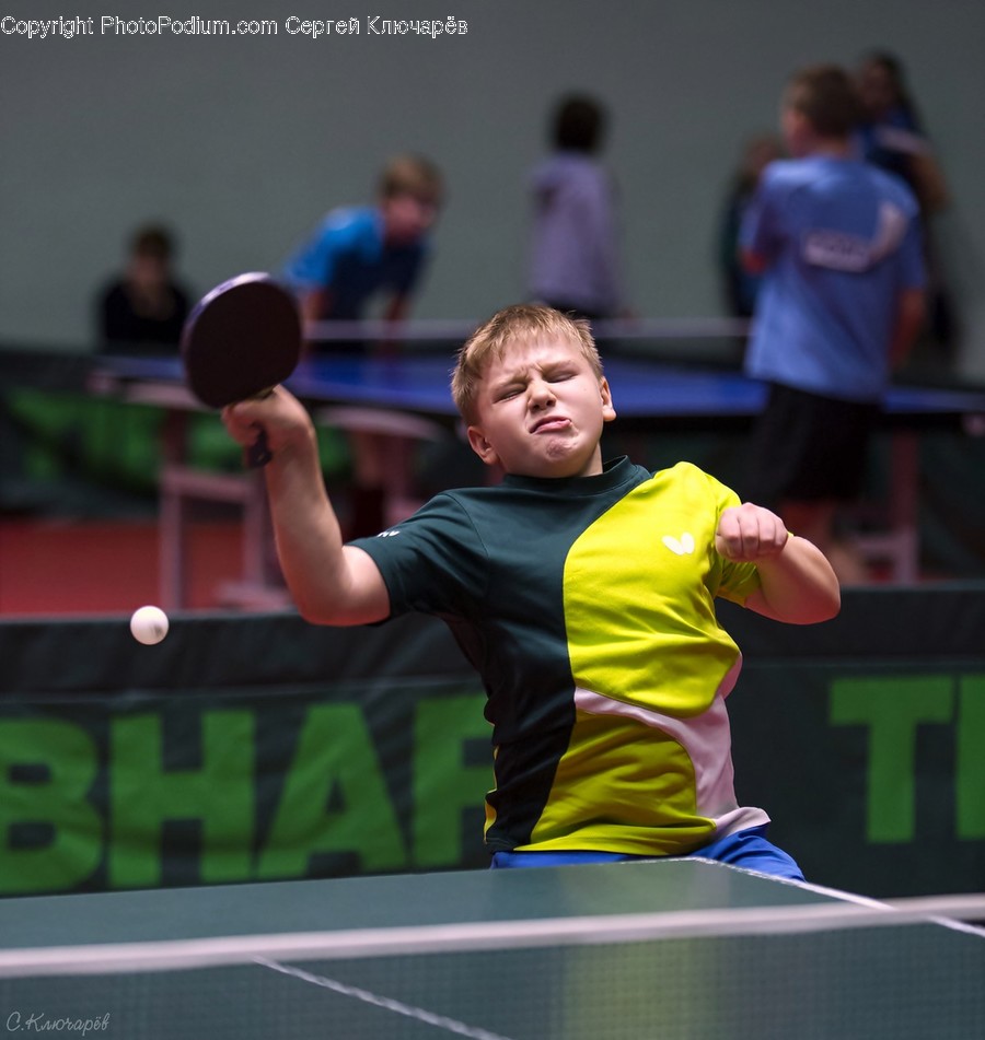 Human, Person, Sport, Sports, Ping Pong