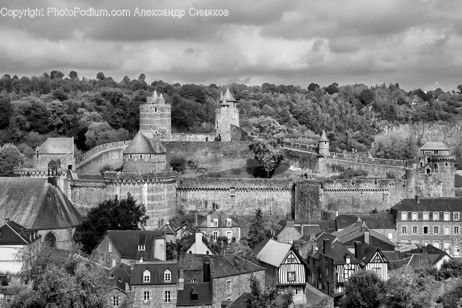 Building, Architecture, Castle, Roof, Scenery